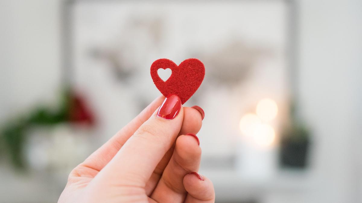  ������� ������� ������ 2022 ���� ���� 