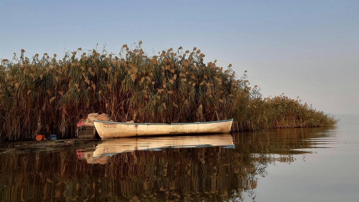  ������� �������� ������ ����������� ������� 