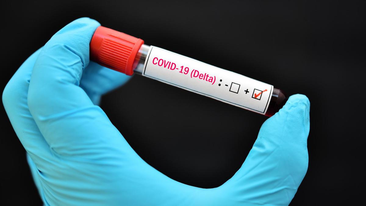  ������� ����� ����������� ����� ������ ������ ������������ ���� 