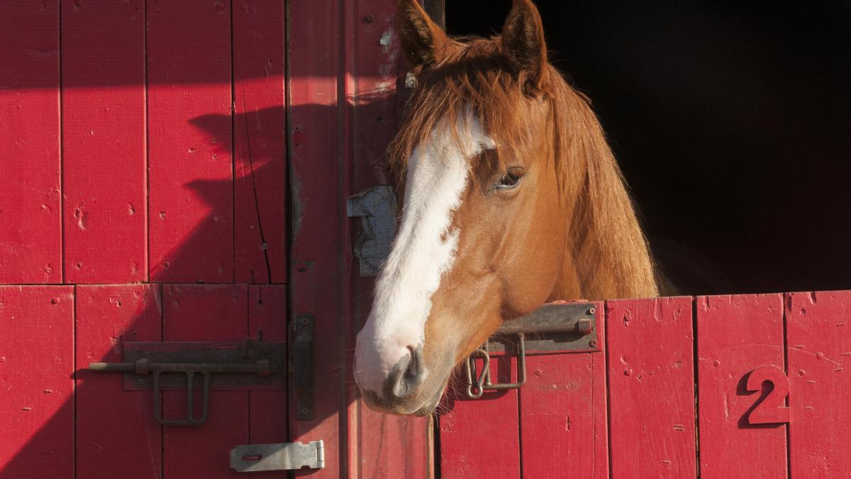  ���� ������� ����� ��������� ��� 