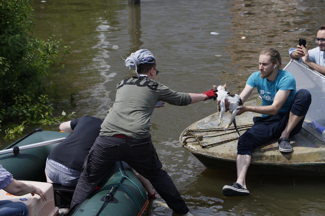 Волонтеры спасают животных в Херсонской области
