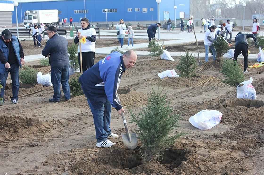 ForteBank приступил к высадке 500 деревьев в г. Павлодар.