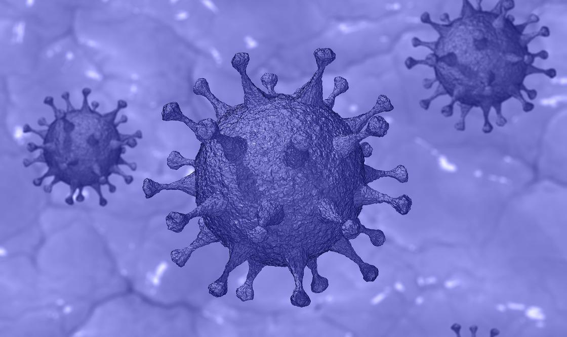 Как у человека вырабатываются антитела от коронавируса, рассказал эксперт