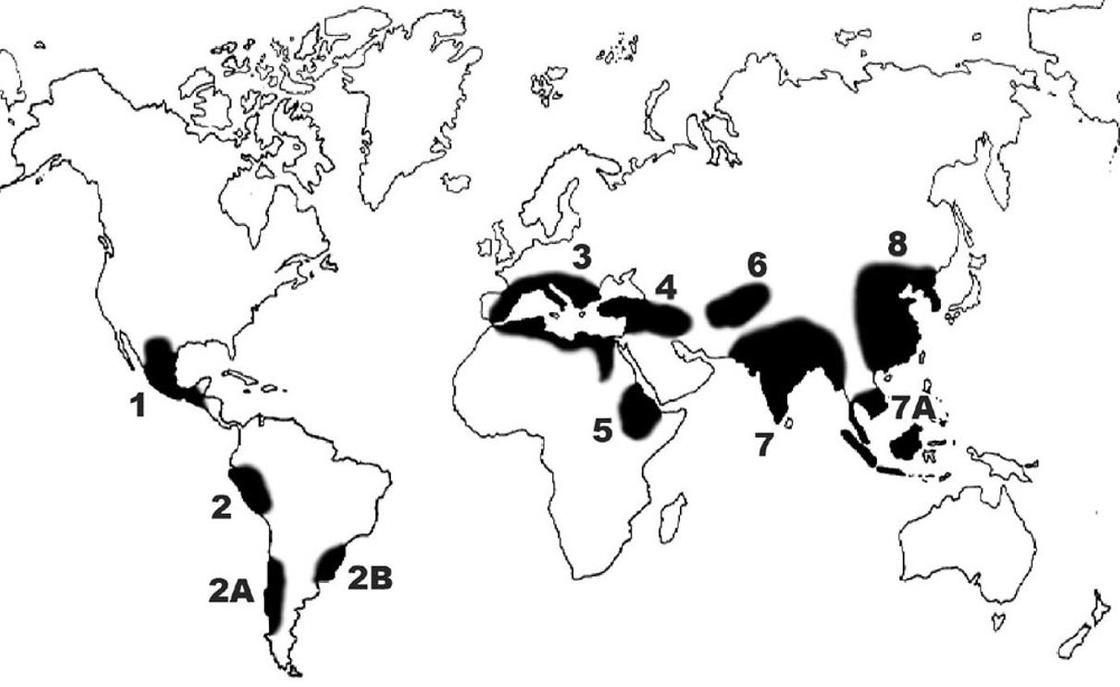 Карта появления культурных растений