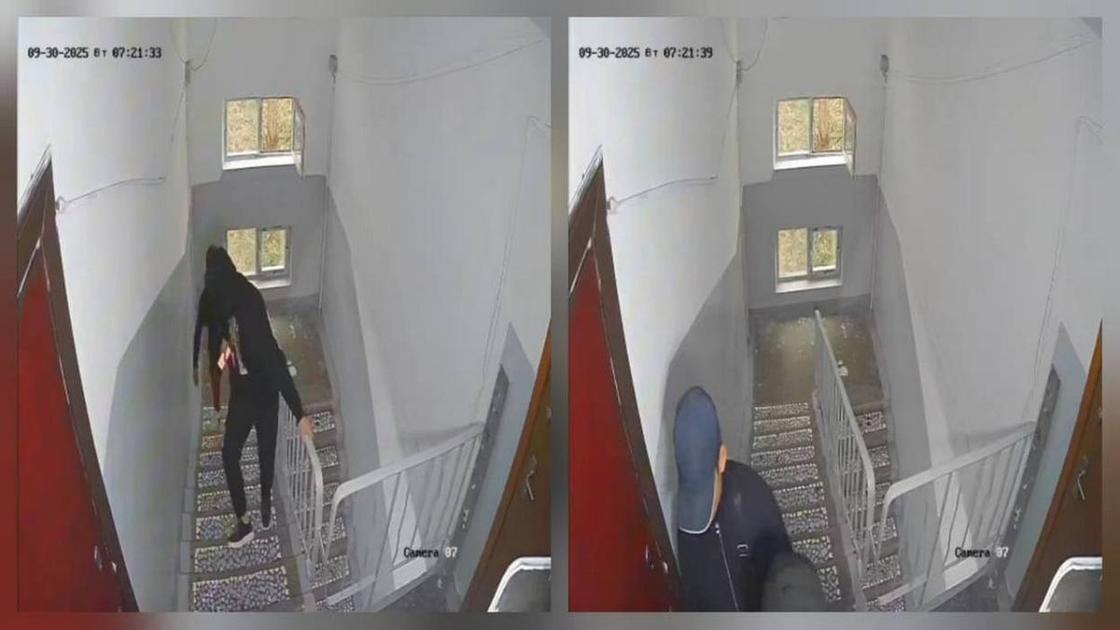 Подозреваемые