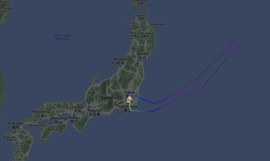 Рейс NH118 авиакомпании All Nippon Airways