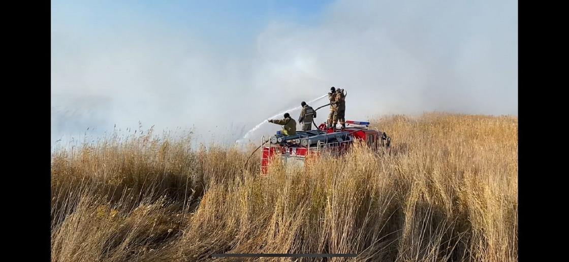 Өрт сөндірушілер көліктің үстінде тұрып су шашуда