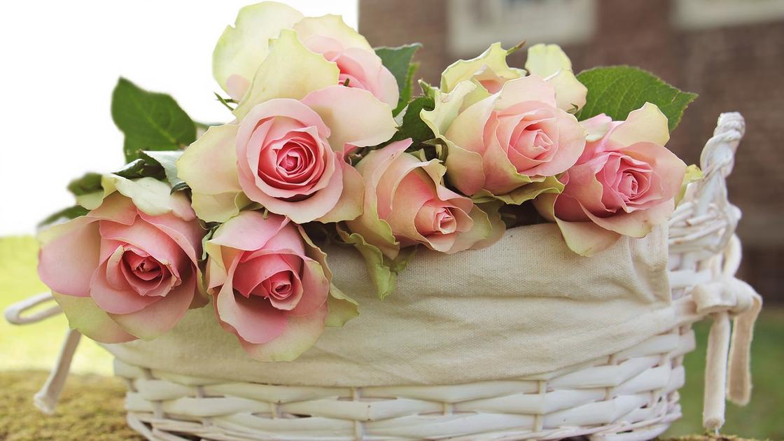 Какой сегодня праздник в Казахстане и мире: 28 июня Какой сегодня праздник в Казахстане и мире: 28 июня