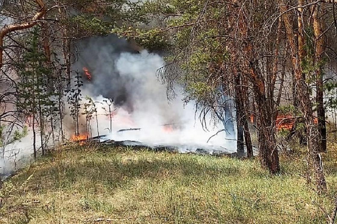 Огонь и дым среди деревьев в Абайской области