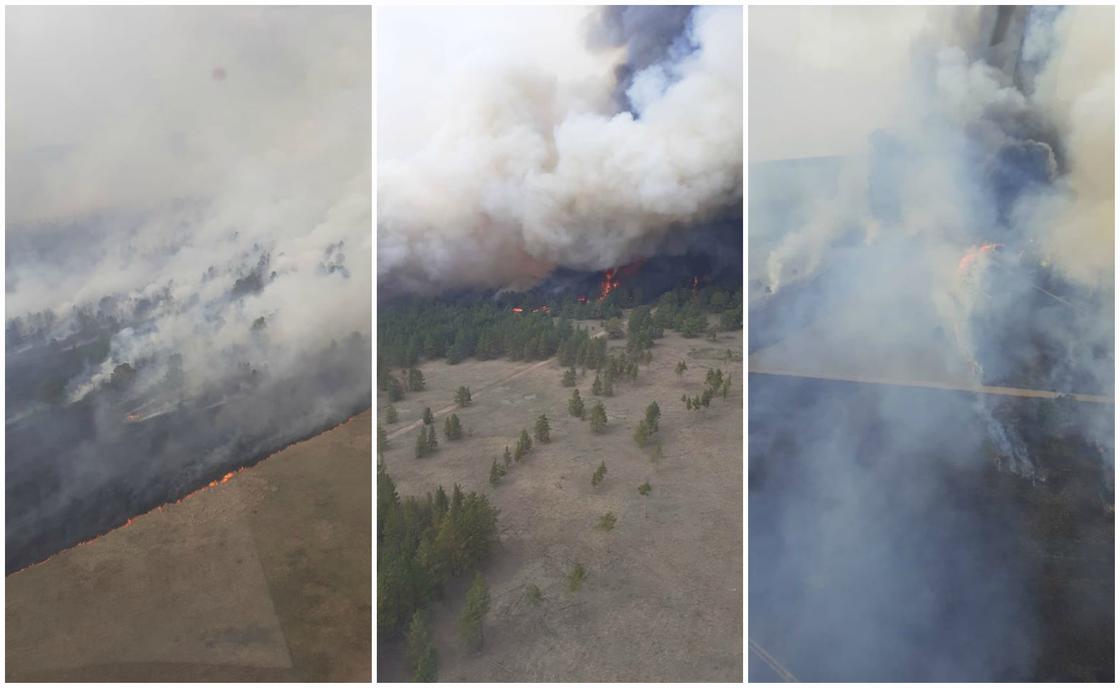 Лес загорелся в Восточном Казахстане