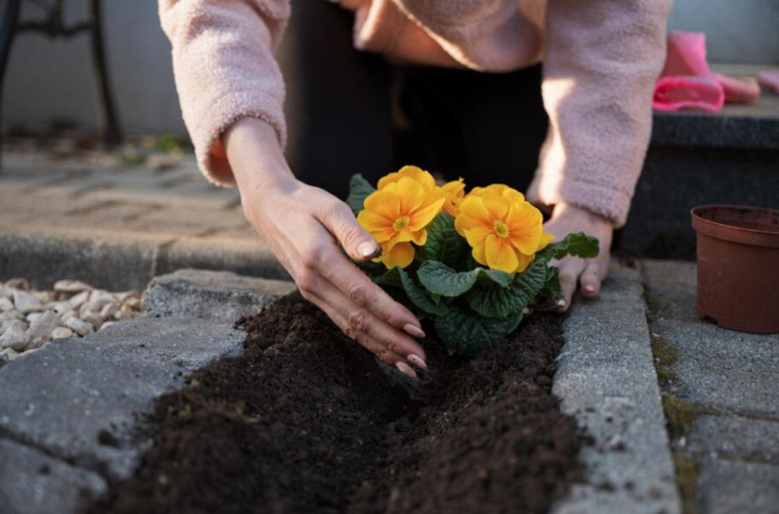 Женщина сажает цветы на могиле