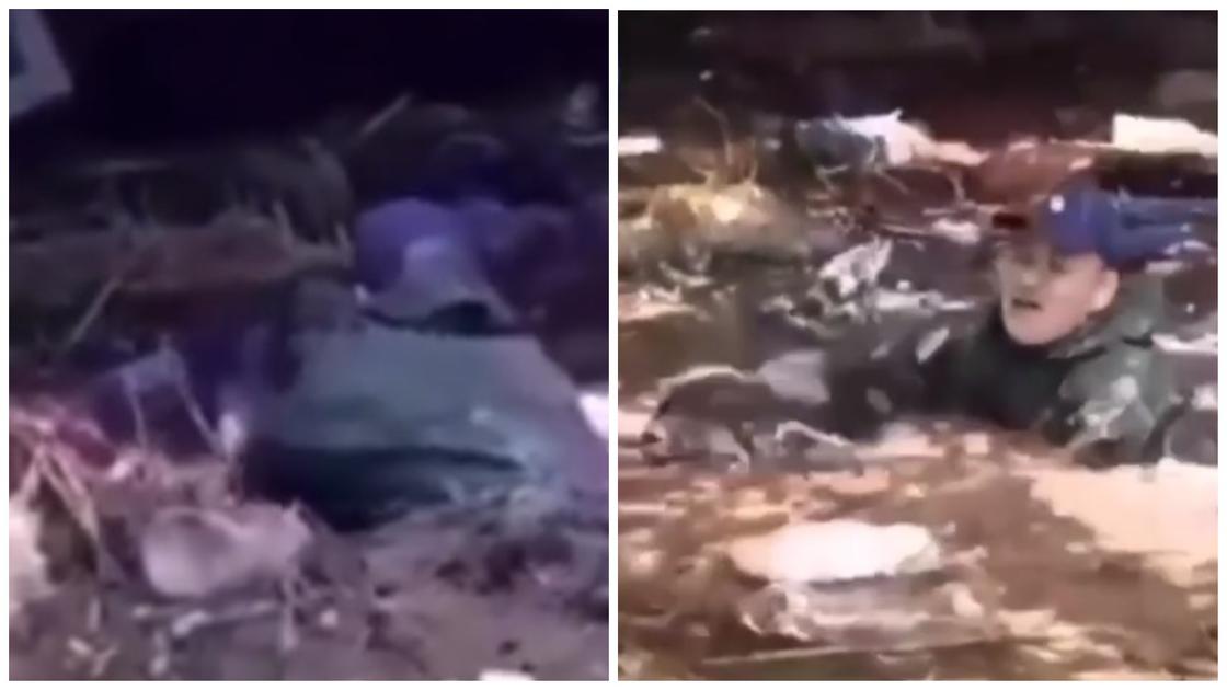Наводнение в Туркестанской области: трогательное спасение собаки сняли на видео