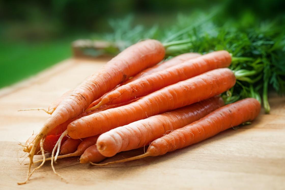 Купная красивая морковь