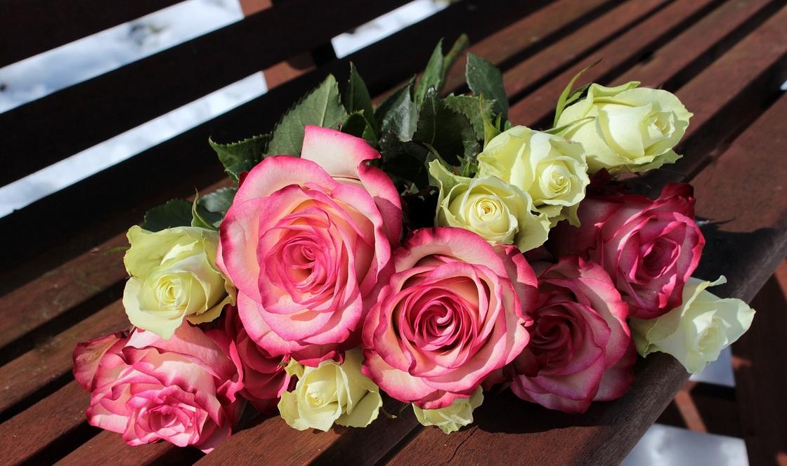 Уничтожили 16 тыс. роз и гвоздик: цветочная индустрия Казахстана терпит убытки