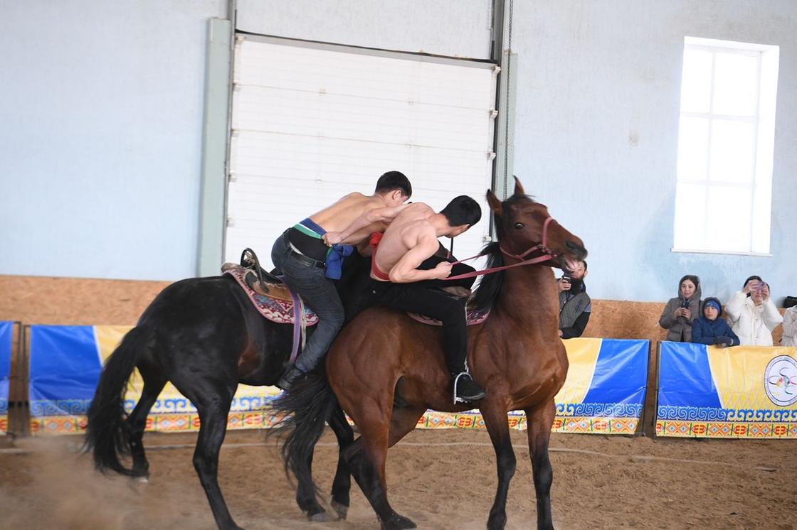 Соревнования на лошадях