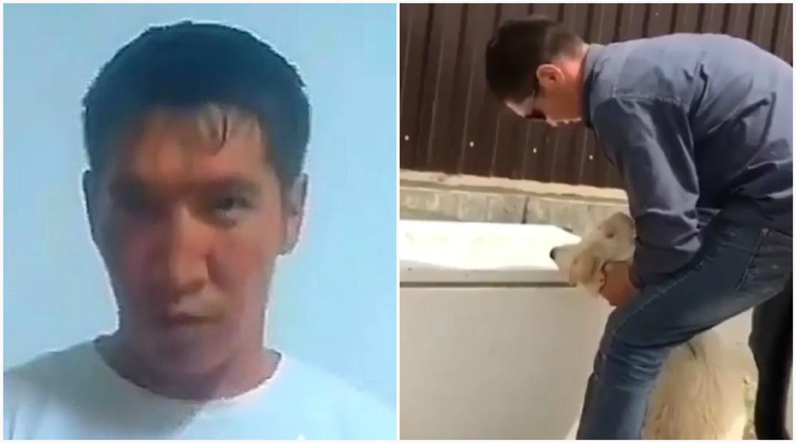 Задушил собаку дверцей холодильника: мужчина извинился в Атырау