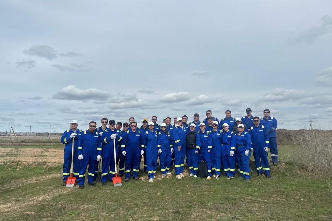 Рабочие в поле