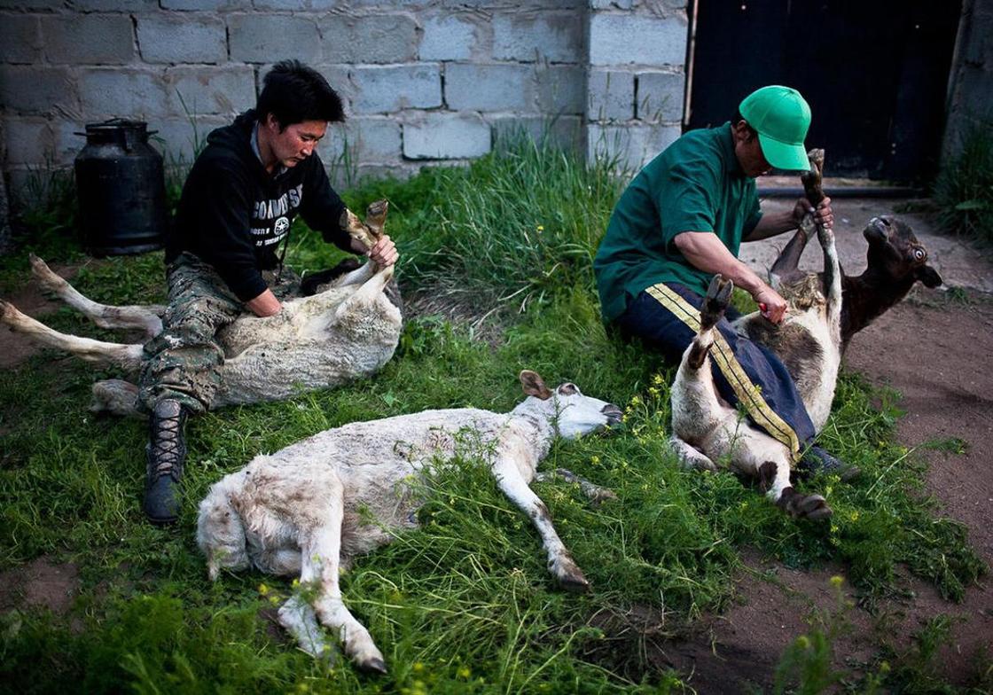 Американский фотограф: "Монголы больше не кочевники?"