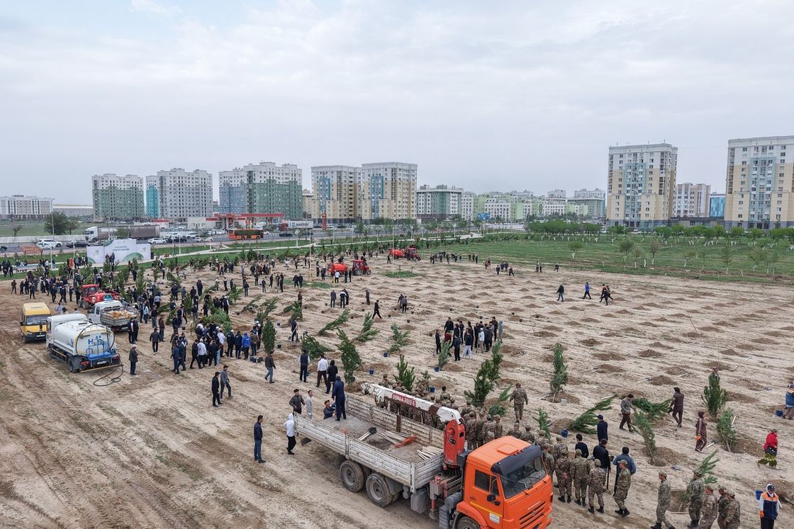 в Туркестане высадили более 2 тысяч деревьев