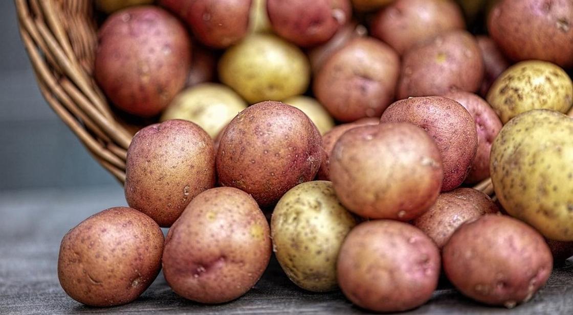 Завод картофеля фри откроют в Алматинской области