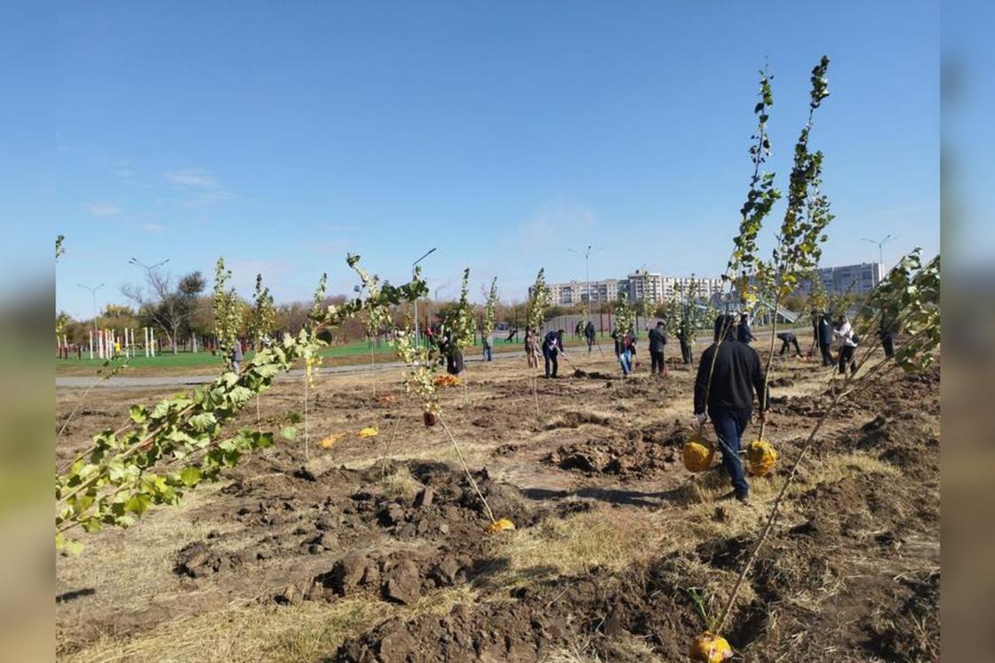 Посадка зеленых насаждений в Караганде