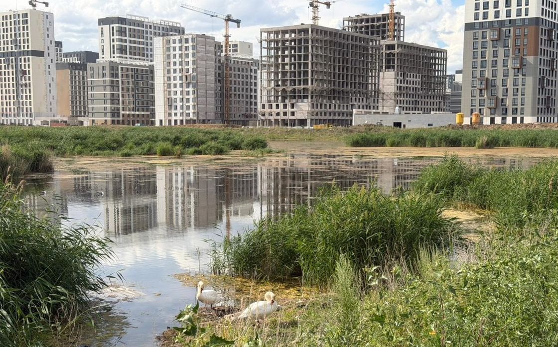 Озеро Малый Талдыколь