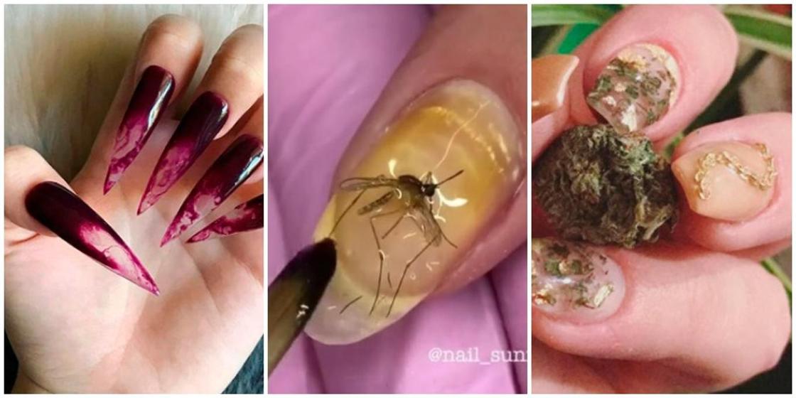 ФОТОРЕП Маникюр с насекомыми и марихуаной: примеры самого дикого дизайна ногтей (фото)