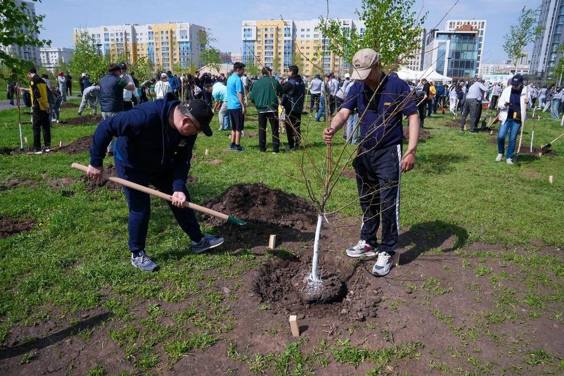 Участники экомероприятия