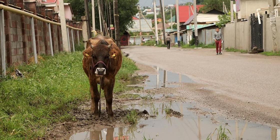 «Живем как в ауле»: жители Медеуского района жалуются на плохие дороги
