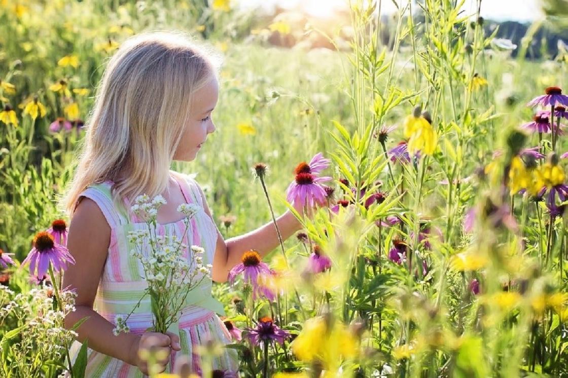 Девочка гуляет в поле с цветами