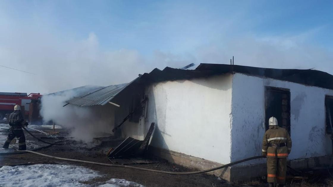 Два ребенка умерли в пожаре в Алматинской области