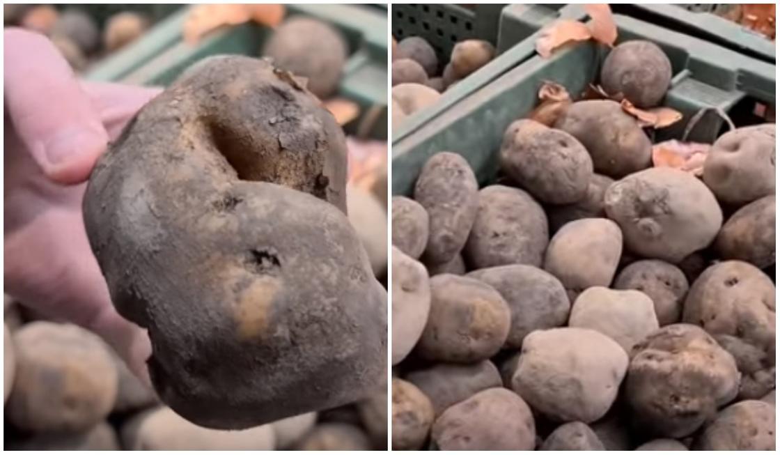 Алматинцы пожаловались на испорченные овощи и яблоки в супермаркете
