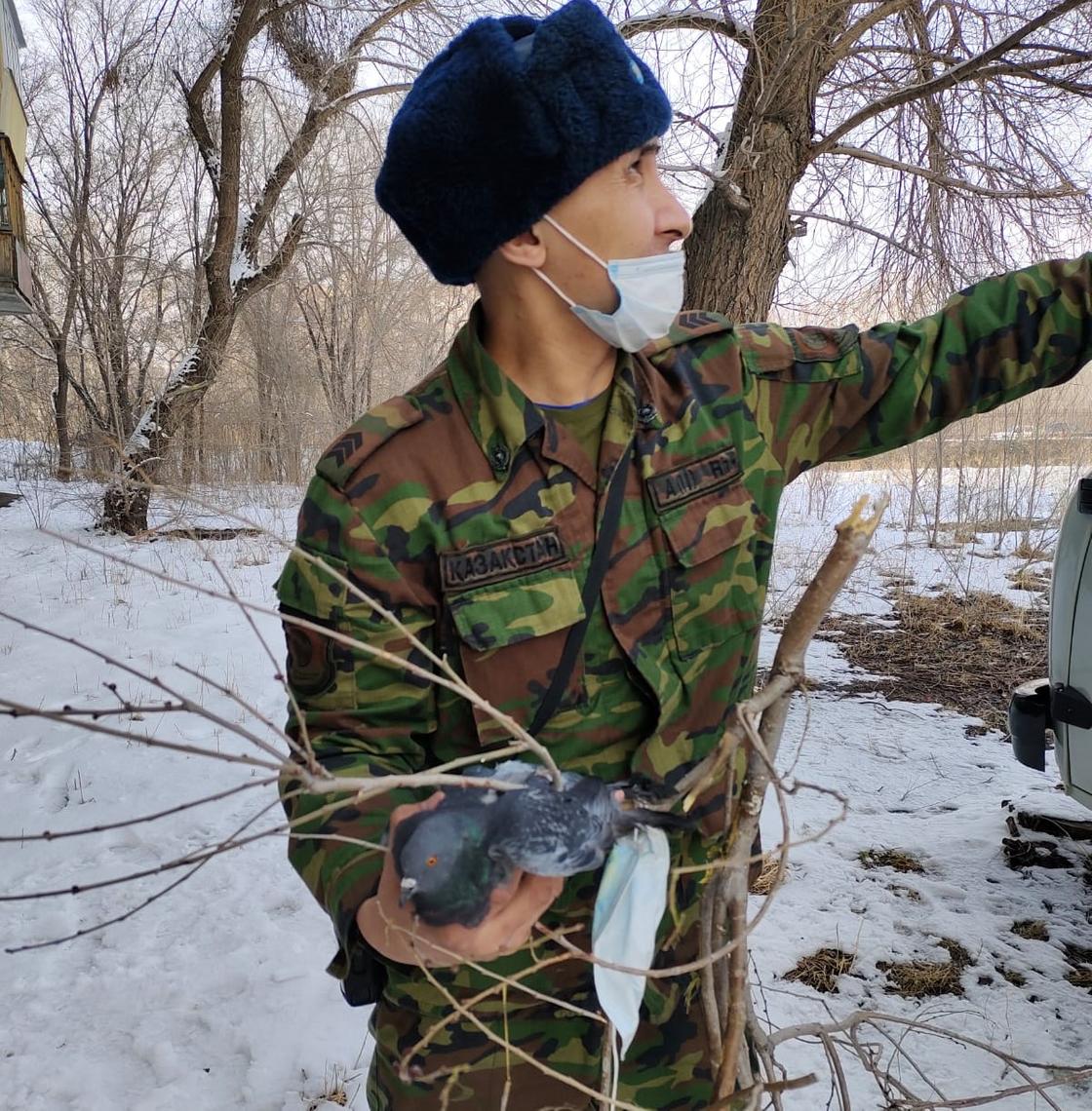 Спасатель с голубям в руках в Усть-Каменогорске