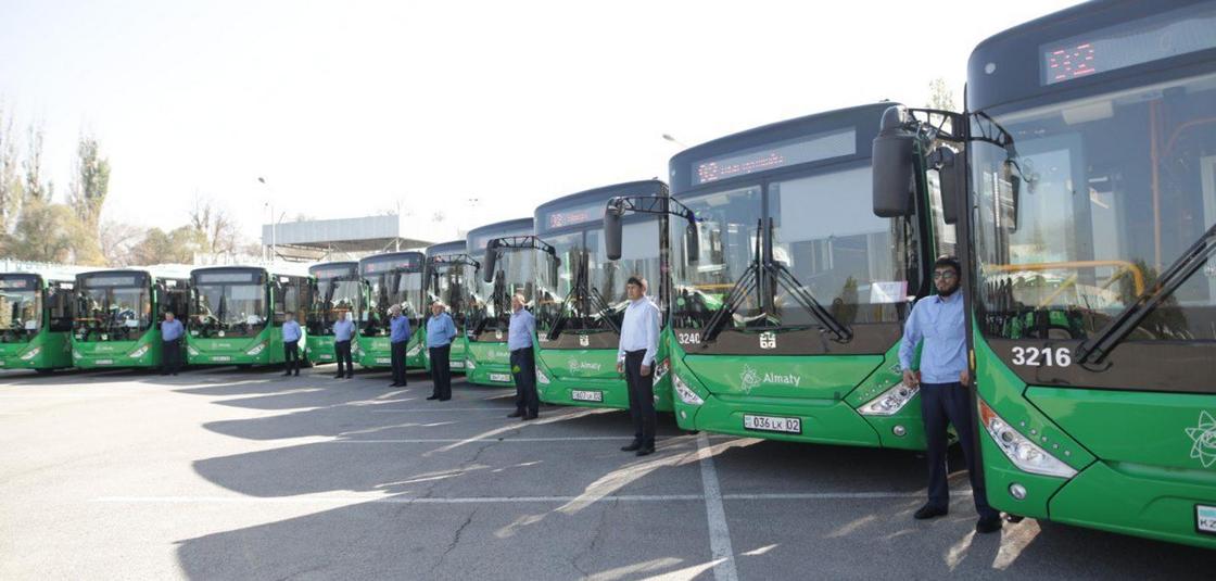 20 новых автобусов выехали на улицы Алматы (фото)