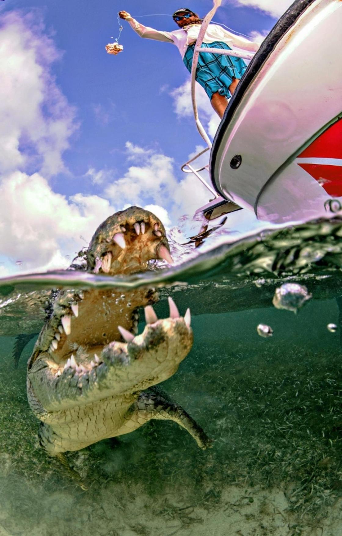 На волоске от смерти: фотосессия с крокодилами