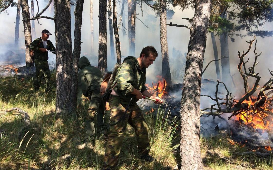 Как тушат пожар на горе Жеке Батыр (фото, видео)
