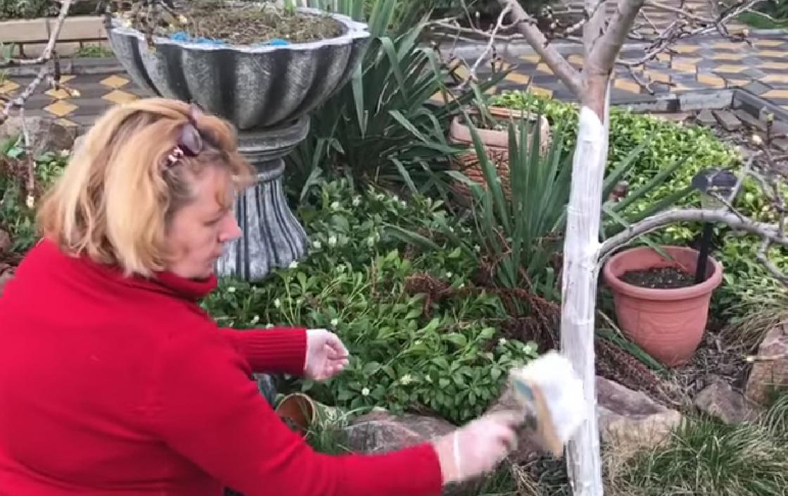 Женщина белит дерево