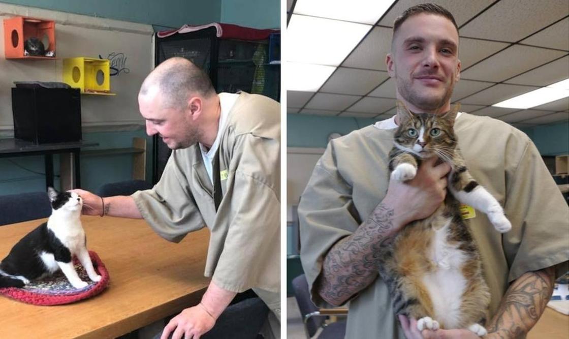 12 фото заключенных, которых решили перевоспитать с помощью бездомных котов