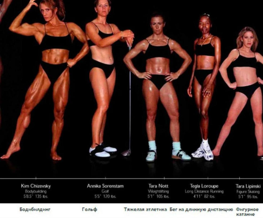 Как выглядят тела олимпийских спортсменов в зависимости от вида спорта