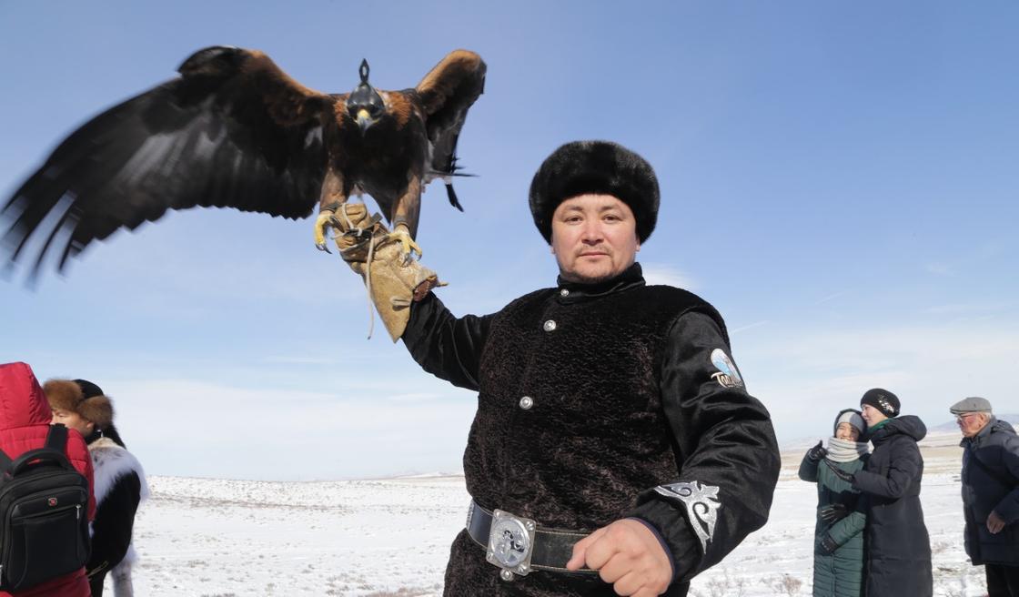 Турнир по охоте с хищными птицами проходит в Карагандинской области