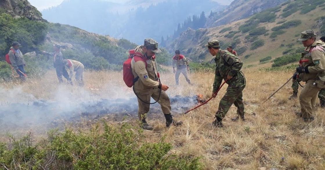 Степной пожар в Алматинской области, в котором погибли 3 человека, ликвидирован