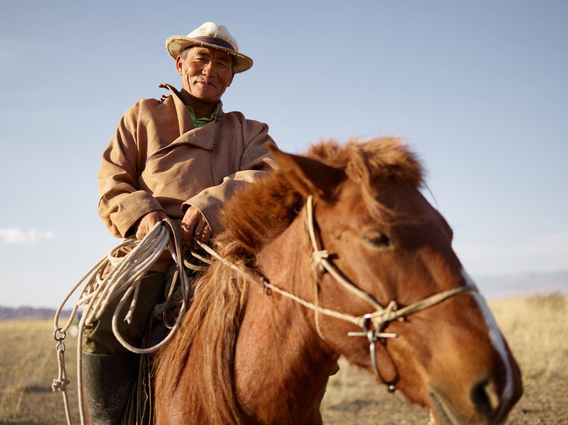 Всадник на коне в Монголии
