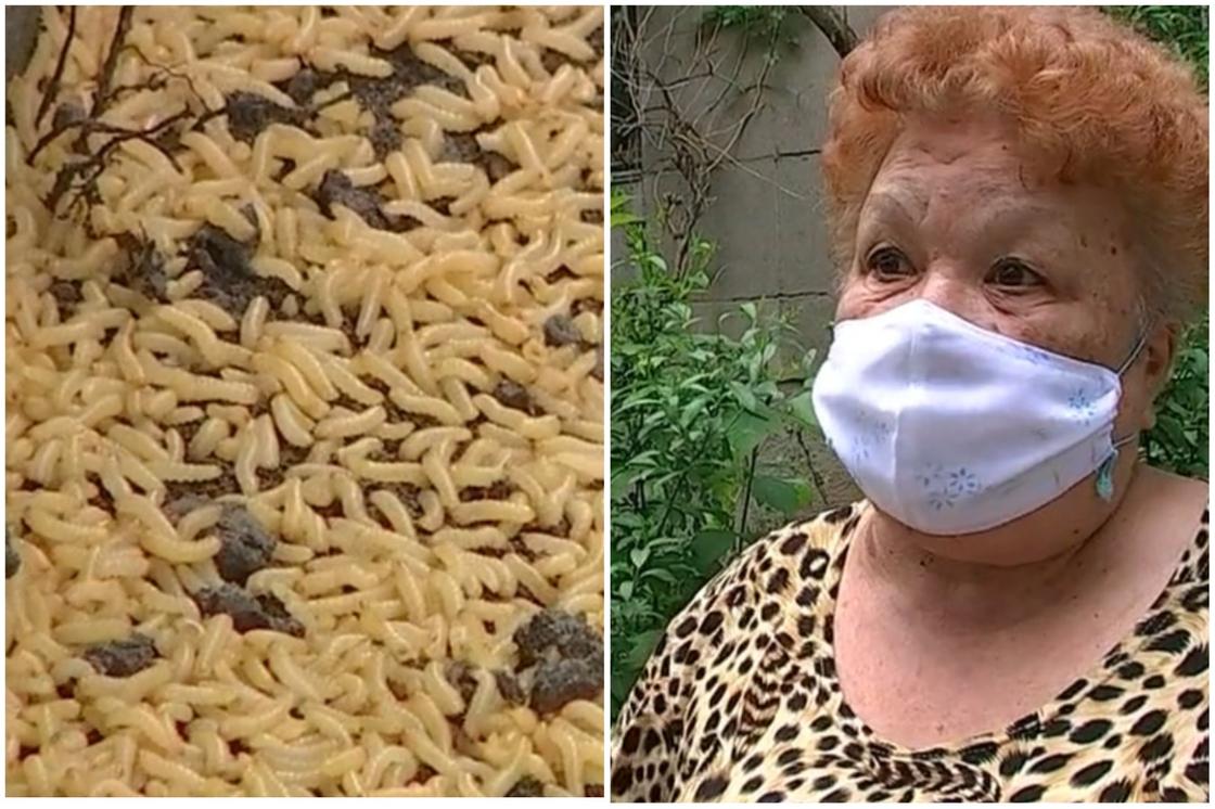 Жители Алматы жалуются на нашествие червей