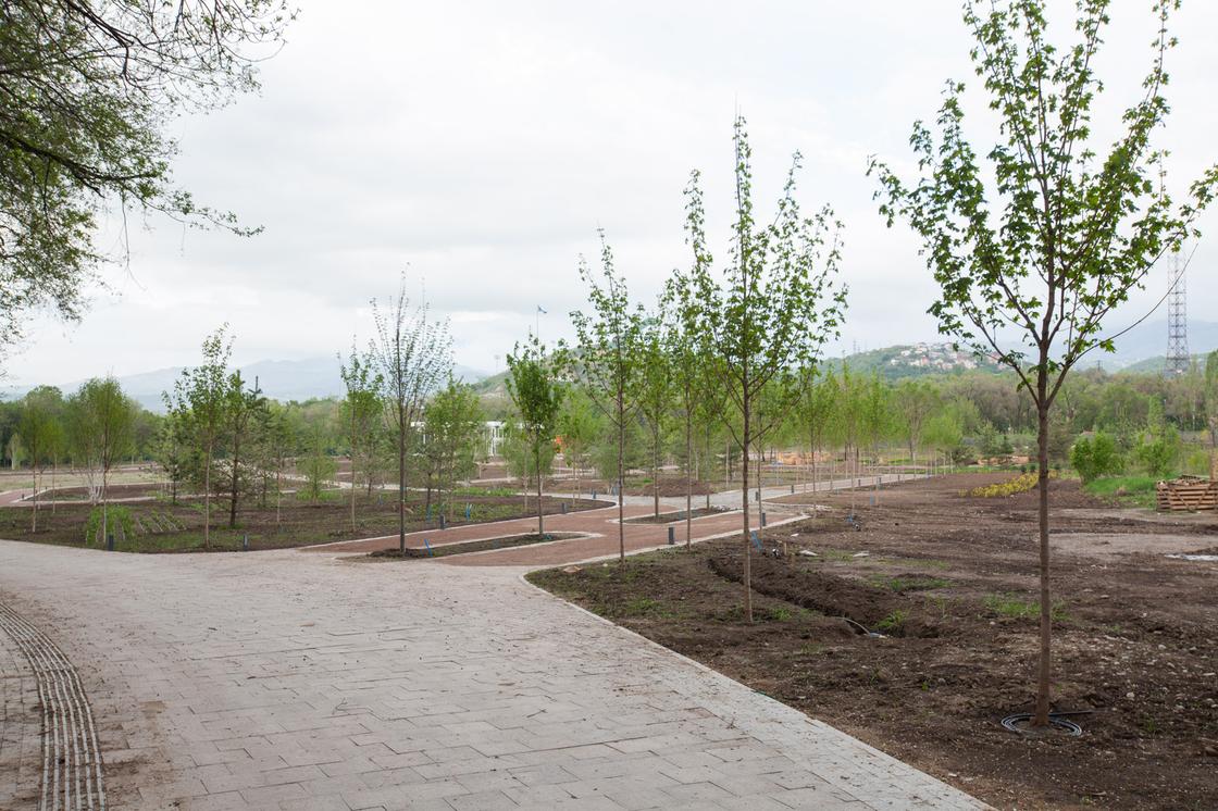 Алматинский ботанический сад переживает второе рождение