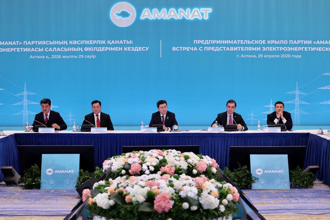 Встреча предпринимательского крыла партии AMANAT с представителями энергетической отрасли