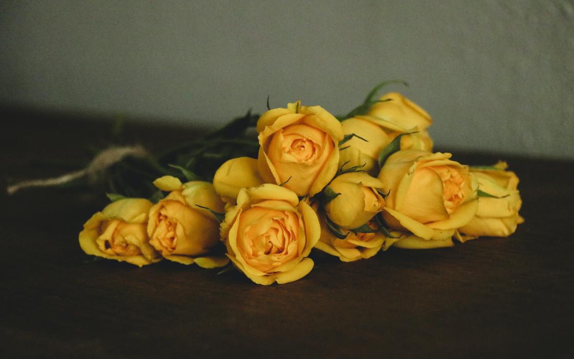 Желтые розы лежат на столе