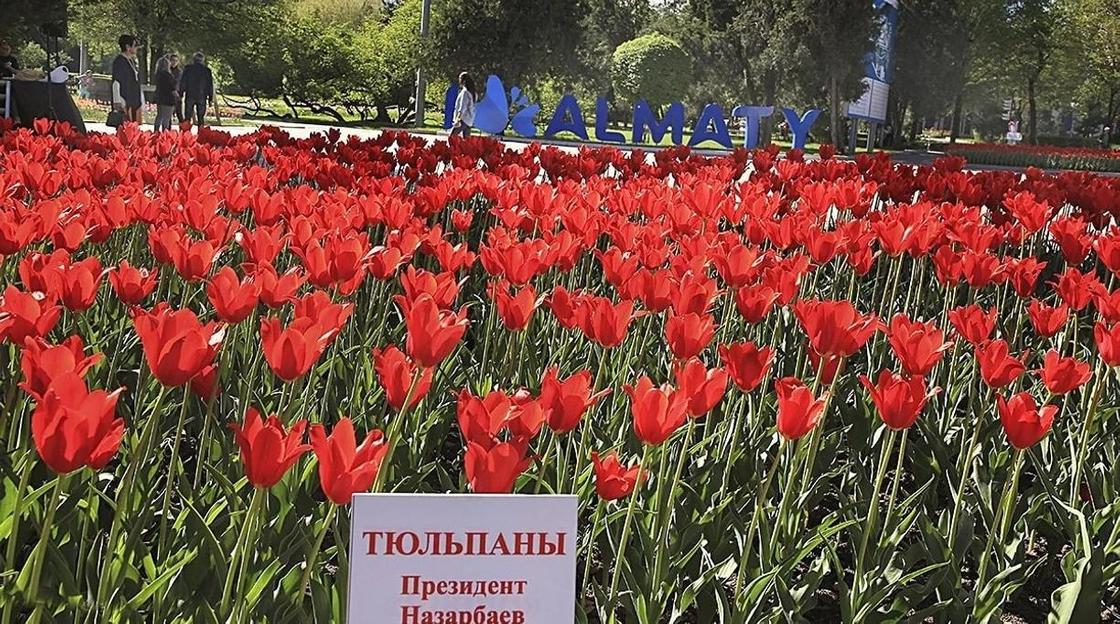 Что названо в честь Назарбаева в Казахстане и мире