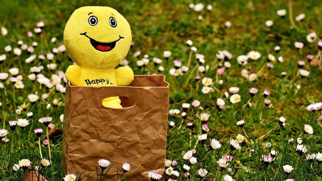 Мягкая игрушка-смайлик с надписью «Happy» в бумажном пакете на зеленой лужайке, где цветут маргаритки