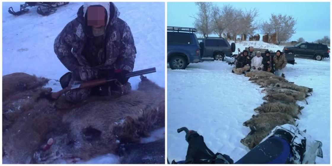 Фотографии браконьеров из Карагандинской области появились в сети