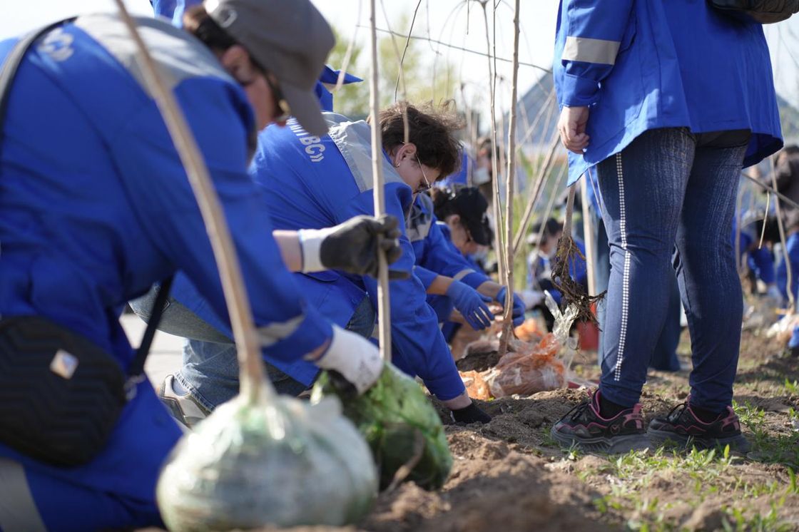 Ұлытау облысында экологиялық іс-шара ұйымдастырылды